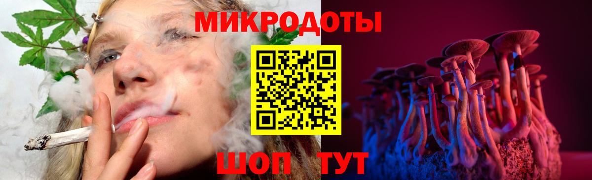 Кашира  Галлюциногенные грибы Psilocybine cubensis  Вход с VPN 